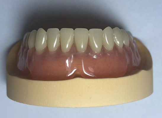 لابراتوار دندانپزشکی آکریلیک مکمل آرچ دندانپزشکی آسان برای استفاده با شکل طبیعی